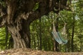 Hammock hanging swing cradle chair