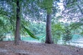 Hammock hanging on trees by the lakeside Royalty Free Stock Photo