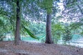 Hammock hanging on trees by the lakeside