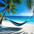 hammock hanging between two palm trees on tropical beach with clear blue water Royalty Free Stock Photo