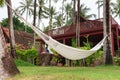 Hammock hung on palm trees for relax vacation Royalty Free Stock Photo