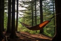 a hammock hung between two trees in forest Royalty Free Stock Photo