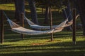 Hammock. installed on trees for a perfect holiday at sea