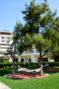 The hammock is on lawn in luxury hotel