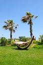 Hammock at lawn in popular hotel