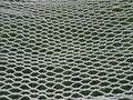 Hammock net Royalty Free Stock Photo