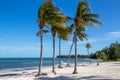 Hammock between Palm trees at the beach