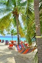 Hammock between palm trees on Curacao beach