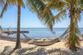 Hammock between palm trees Royalty Free Stock Photo