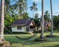 A hammock between palm trees on the lawn in tropical garden