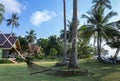 A hammock between palm trees on the lawn in tropical garden