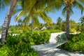 Hammock between palm trees at the tropical beach at Maldives