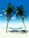 Hammock between palmtrees Royalty Free Stock Photo