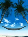 Hammock between palmtrees