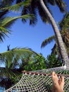 Hammock Relaxation