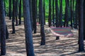 The hammock remains in the woods for the next tired traveler Royalty Free Stock Photo