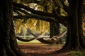 a hammock resting between two trees