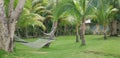 Hammock between two palm trees in Tropical Fiji. Relaxing stress-free environment Royalty Free Stock Photo