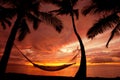 Hammock at Sunset in Paradise Royalty Free Stock Photo