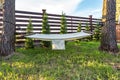 Hammock suspended between two pines in summer garden of country house at sunset