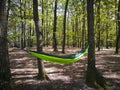 Hammock suspended between two trees Royalty Free Stock Photo