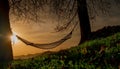 Hammock suspended between two trees