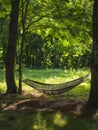 A hammock sways gently between two trees, surrounded by the warm, golden light filtering through the verdant forest Royalty Free Stock Photo