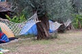 Hammock and tent at campsite