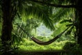 a hammock tied to trees amidst lush greenery