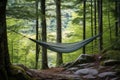 hammock tied between trees in a secluded forest