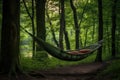 hammock tied between two trees in forest