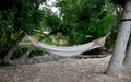 Hammock Tied Between Two Trees Royalty Free Stock Photo