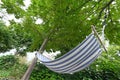 Hammock to chill out in a beautiful forest. Royalty Free Stock Photo