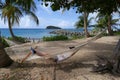 Hammock in Tranquil Tropical Setting