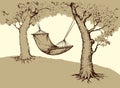 Hammock on tree. Vector illustration