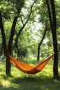 Hammock between trees in forest Royalty Free Stock Photo