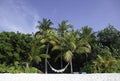 Hammock on a tropical beach, Maldives Royalty Free Stock Photo