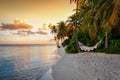 Ãâ hammock on a tropical beach in the Maldives Royalty Free Stock Photo