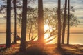 Hammock on trunks of trees on shore of lake at sunset. Romantic place in nature for camping and tourism.