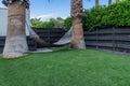 Hammock between two large palm trees, artificial grass, in backyard Royalty Free Stock Photo