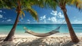 Hammock Between Two Palm Trees on a Beach Royalty Free Stock Photo