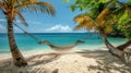 Hammock Between Two Palm Trees on a Beach Royalty Free Stock Photo