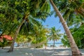 Hammock between two palm trees at the tropical beach Royalty Free Stock Photo