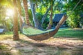 Hammock between two palm trees at tropical exotic beach background Royalty Free Stock Photo