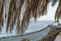 Hammock under palm branches