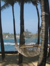 Hammock under palms 