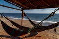 Hammocks in beach Royalty Free Stock Photo