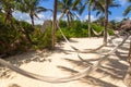 Hammocks between the palm trees in Mexico Royalty Free Stock Photo