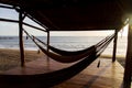 Hammocks in sunshine beach