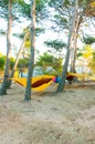 Hammocks suspended on the tree, camping by the lake